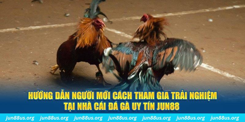 aev99 CQ9 Điện Tử