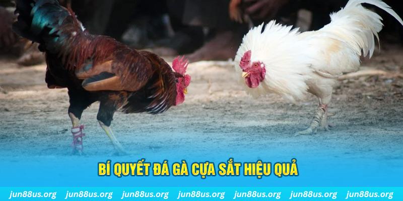 aev99 xin 1 slot là gì