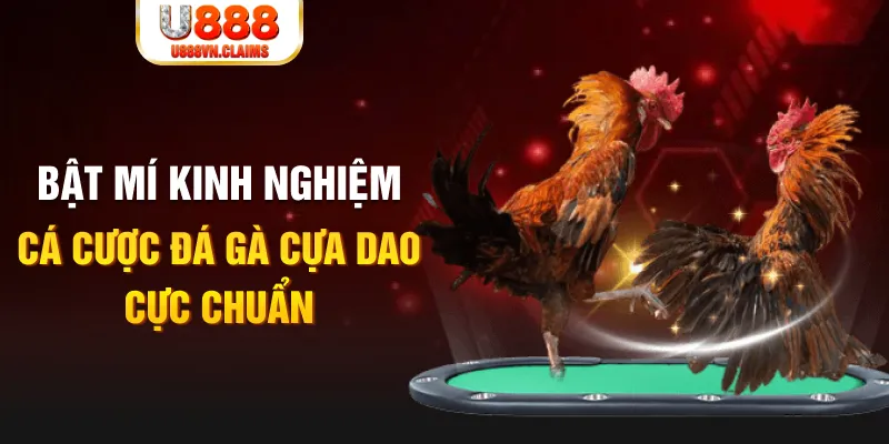aev99 tỷ lệ cá cược châu á là gì