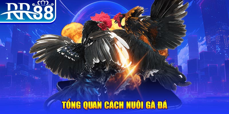 aev99 VA Điện Tử