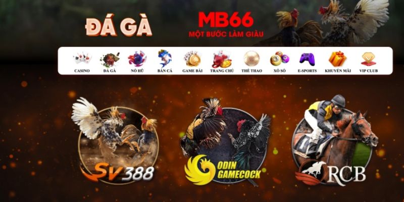 aev99 đăng nhập poker số 1