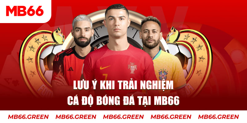 aev99 cá cược là gì