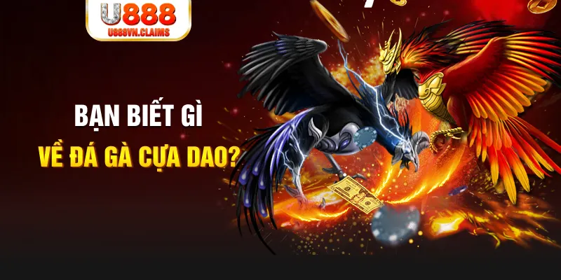 aev99 nổ hủ là gì