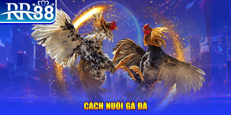 aev99 xổ số an giang