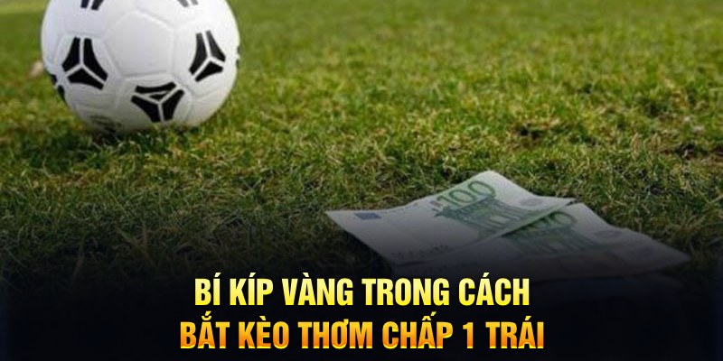 aev99 sổ xô miên bắc