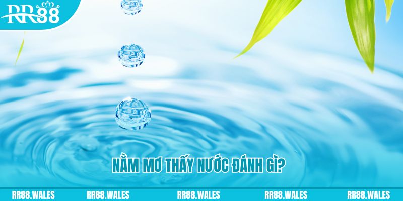 aev99 TP Bắn cá