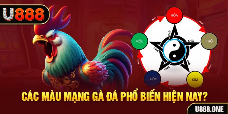 aev99 trực tiếp đá gà 88