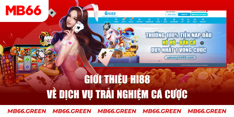 aev99 ga choi hoa phong