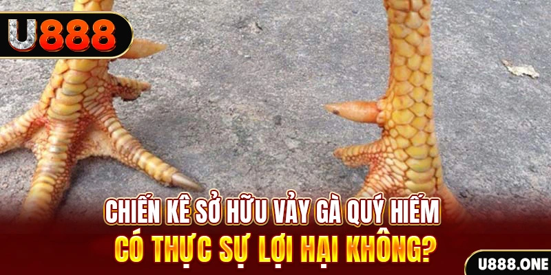 aev99 nohu .mx nổ hủ là gì