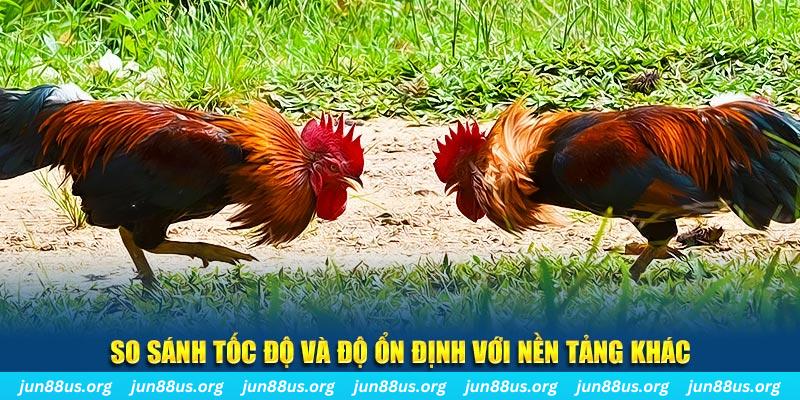 aev99 đá gà hôm nay