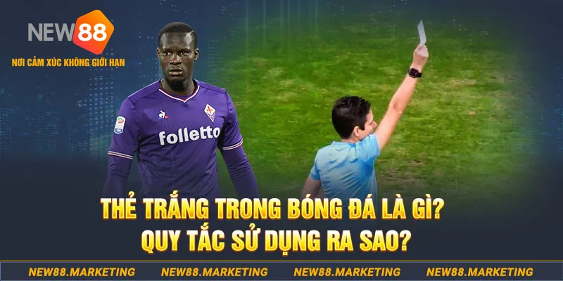 aev99 gà chọi mộc hóa