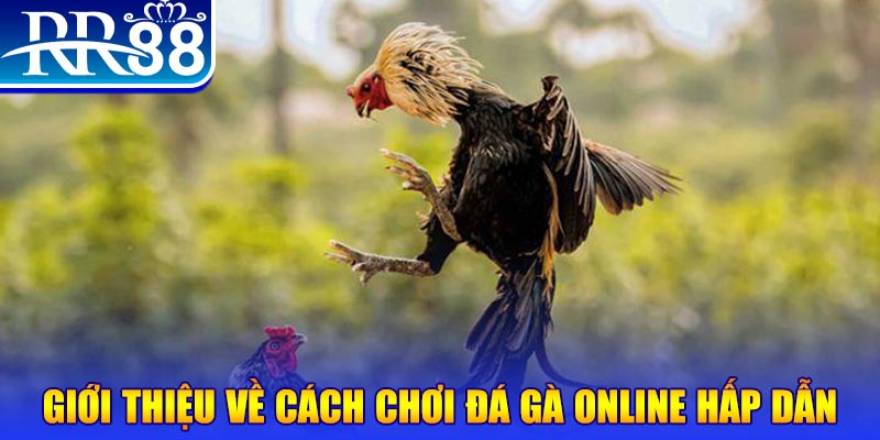 aev99 game nổ hũ rút tiền mặt là gì