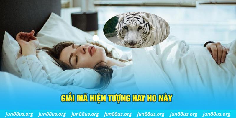 aev99 đăng nhập nổ hũ uy tín