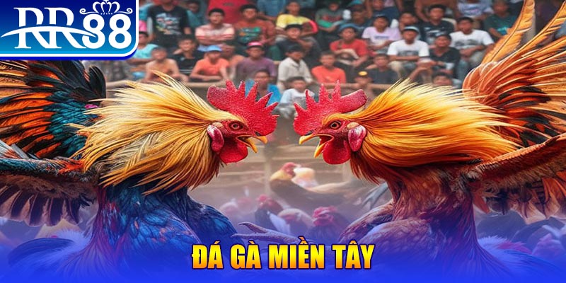 aev99 đăng nhập nổ hũ