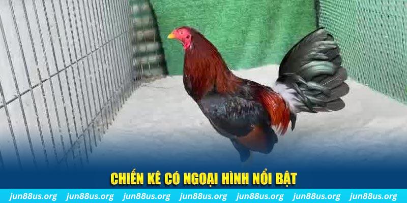 aev99 chạy quảng cáo cho game bài bị phạt như thế nào