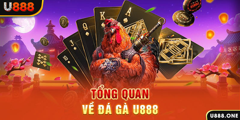 aev99 ILOVEU Điện Tử