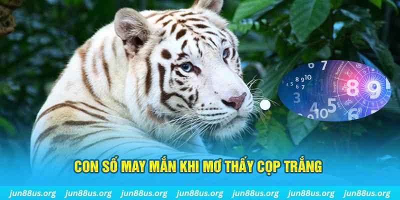 aev99 đá gà trực tiếp 88